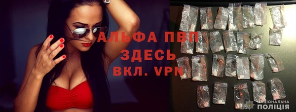 apvp Алзамай
