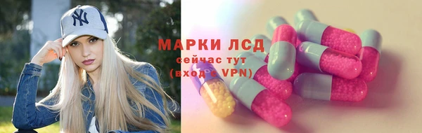 гашик Алексин