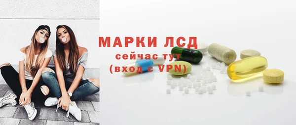 гашик Алексин