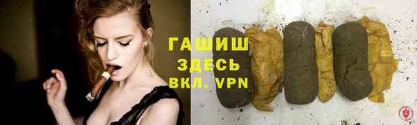 гашик Алексин