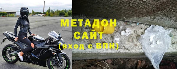гашик Алексин