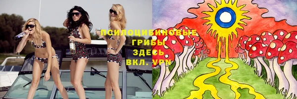 прущие грибы Алексеевка