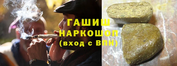гашик Алексин